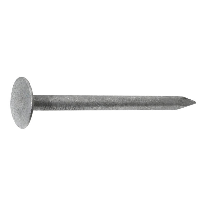 CWH Galvanised Clouts