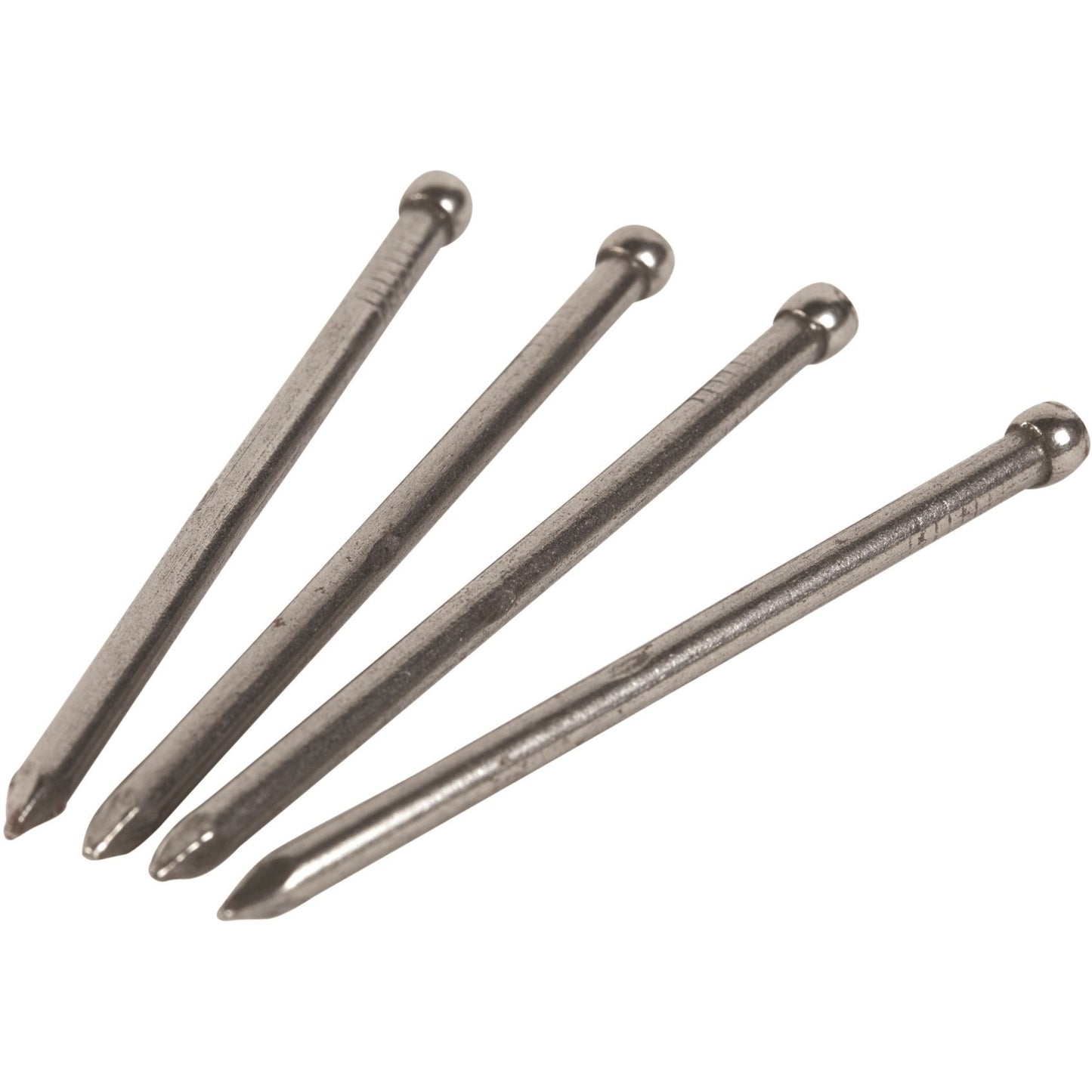 CWH Nails Timber Bullet-Head Bright Loose pk