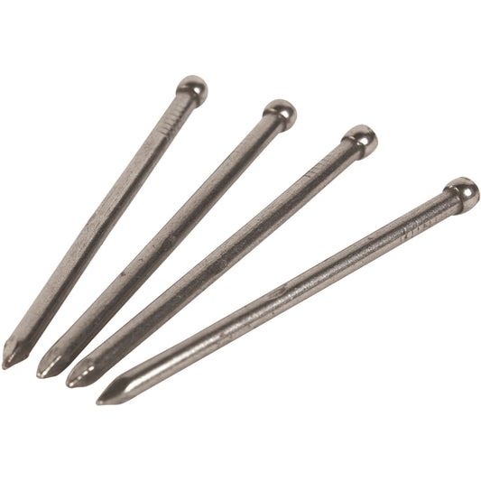 CWH Nails Timber Bullet-Head Galv Loose pk